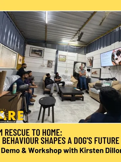 A different angle of our dog behavior workshop, showing the engaged audience. We believe in continuing education to better understand and communicate with the animals in our care, helping them on their journey to a forever home.