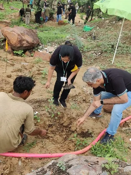 Volunteers from Colt Technology Services and our team work side-by-side, planting native saplings to restore the forest.