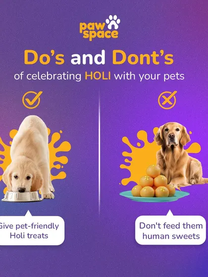 Festivals like Holi are fun, but safety comes first for our pets. It's important to give them pet-friendly treats and avoid sharing human sweets, which can be harmful to them.