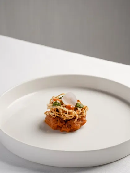 A close-up of the lamb shikampuri, showcasing the delicate, crispy kataifi wrapping and the single pickled onion petal on top. It’s a dish of intricate textures and deep flavours.