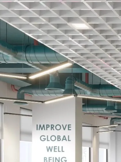 A close-up of the exposed ceiling with color-coded MEP ducting and an open-cell grid system. This industrial design element is both functional and aesthetically interesting.