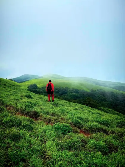 Making my way up a misty trail in the Bandaje region. The path itself is an adventure, surrounded by dense greenery.