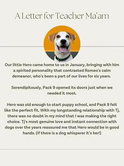The start of Hero's family's letter, explaining why they felt Pack-9 was the perfect fit for their new puppy.