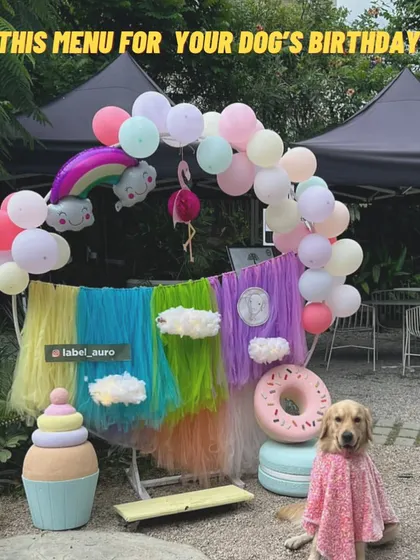 A fantastic outdoor party setup for a Golden Retriever. This image shows how our treats can be part of a larger, professionally decorated event.