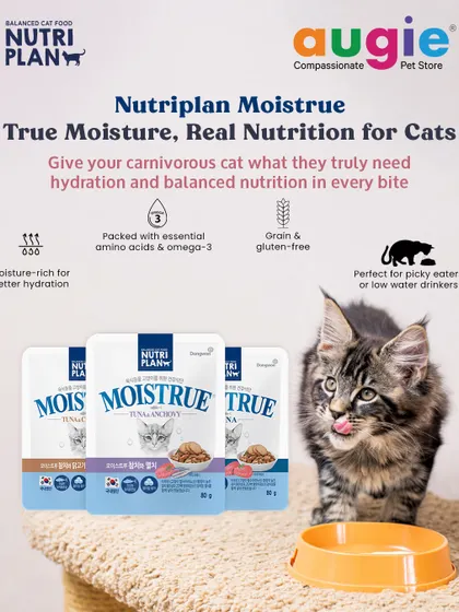 Is your cat a picky eater? I've found that Nutriplan Moistrue is a game-changer. It's a moisture-rich, grain-free food that provides essential hydration and nutrition. This is the Tuna & Anchovy variant, perfect for cats who love a fishy feast.