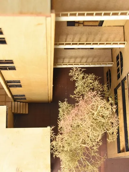 An overhead view of a sectional model reveals the intimate scale of a courtyard. This perspective allows us to study sightlines, a sense of enclosure, and the integration of landscape within the architectural form.