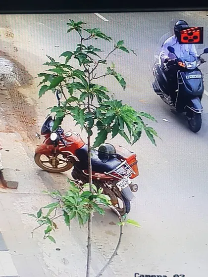 A clear shot capturing a scooter on the road, useful for license plate identification.