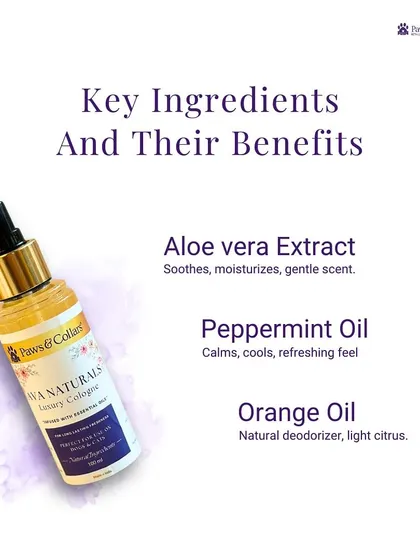 Discover the key ingredients and benefits of our luxury cologne. Aloe vera soothes and moisturizes, peppermint oil cools and refreshes, and orange oil acts as a natural deodorizer.