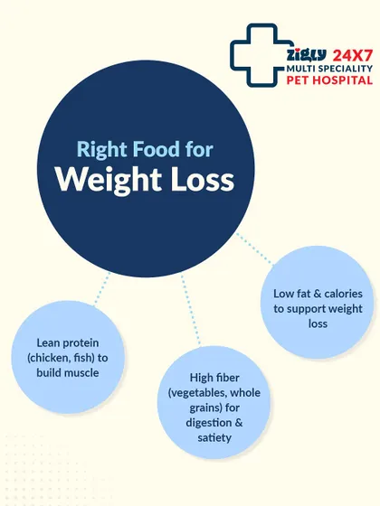 Choosing the right food is key for weight loss. I recommend diets with lean protein to build muscle and high fiber to help your dog feel full.