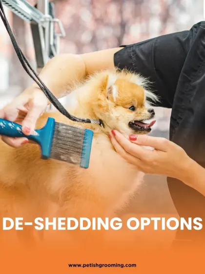 De-shedding is an important part of grooming for many breeds. I use specialized brushes to gently remove loose undercoat, reducing shedding and promoting a healthier coat.