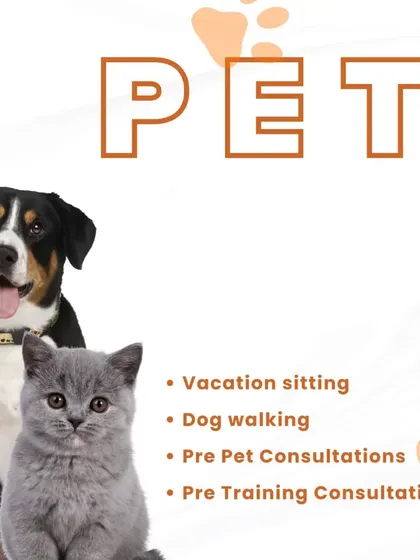 This collection includes more details about my services, brand announcements, and my philosophy. From explaining why dogs run to you to showcasing my team at events, it all reflects my commitment to professional, empathetic pet care.