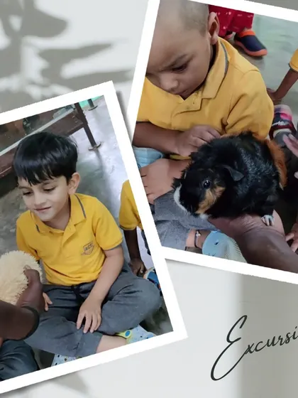 More gentle interactions, this time with a fluffy bunny and a guinea pig. These sensory experiences are calming and educational.