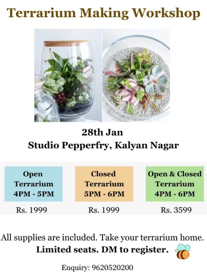 An exclusive open and closed terrarium workshop at Studio Pepperfry. This flyer shows the different options available, including a discounted rate for attending both sessions.