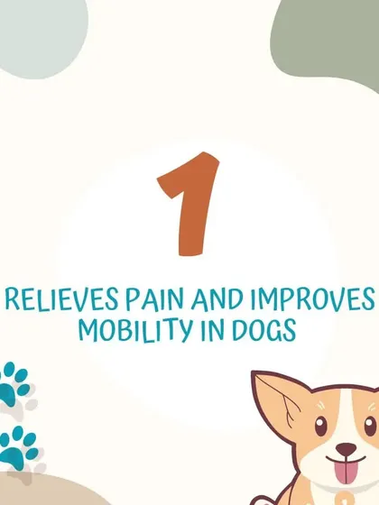 Benefit 1: Relieves Pain and Improves Mobility. The buoyancy of water takes the weight off aching joints, allowing for a greater range of motion and providing natural pain relief for dogs with chronic conditions.