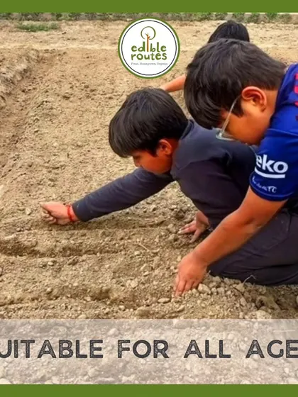Gardening is for all ages. Kids especially love getting involved in planting seeds and watching them grow, making it a wonderful family activity.