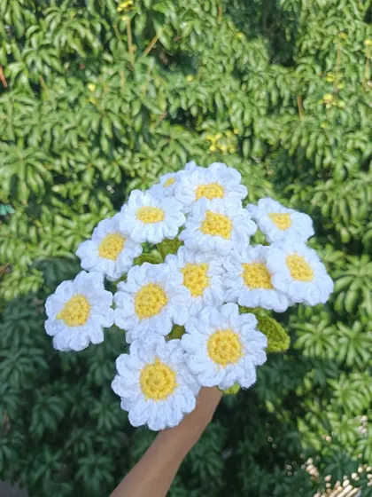 A beautiful bouquet of white daisies.