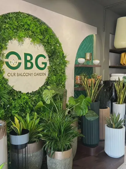 A look inside our Mangalore store, where we combine lush greenery with modern design. This display features our signature artificial green wall and a curated selection of planters, showing how we can create a vibrant focal point in any space.