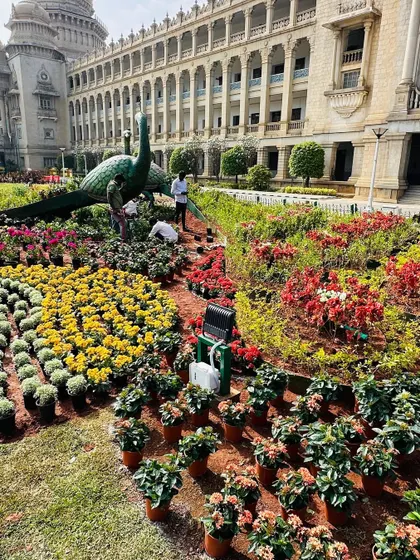 A beautiful peacock topiary, made entirely of green plants, forms the centerpiece of our floral design at the Vidhana Soudha. This kind of landscape art requires precision and a deep understanding of horticulture.