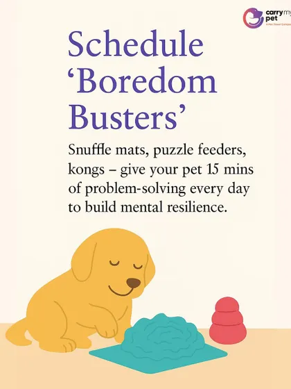 Schedule 'boredom busters' like snuffle mats and puzzle feeders. Just 15 minutes of problem-solving a day can build mental resilience and keep your pet engaged.