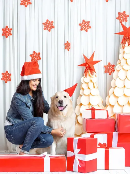 A happy golden retriever patiently wearing a Santa hat for his Christmas photo. The love and trust between pets and their owners make these festive shoots so special.
