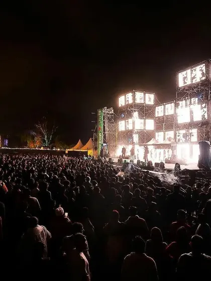The view from my stage at the Steppinout Music Festival. Seeing a massive crowd like this, all connected by the music, is why I do what I do. The energy was electric.