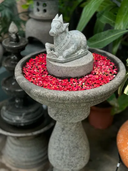 A stone Nandi statue placed in a bird bath filled with flowers. This beautiful amalgamation of natural stone and handmade art adds a delicate charm to both indoor and outdoor settings.