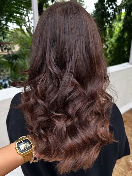 My 'Cinnamon Chocolate' blend. It's the perfect mix of warm and rich tones for a cozy and inviting hair color.