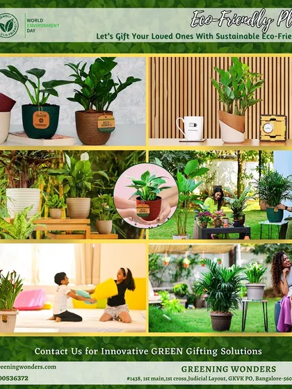 A collage of eco-friendly planters and happy customers, perfect for celebrating World Environment Day. Let's gift our loved ones sustainable presents.