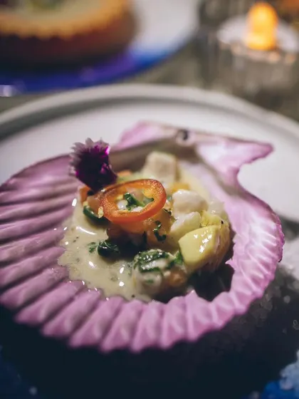A seafood appetizer served in a natural purple scallop shell, showcasing creative plating.