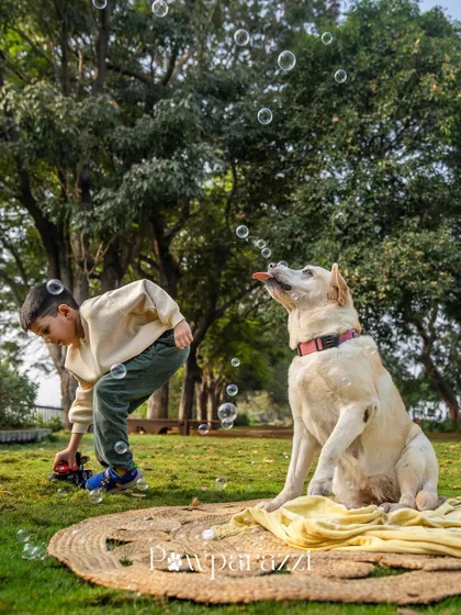 A boy plays with bubbles while his indie dog tries to catch them, a moment of pure childhood fun.