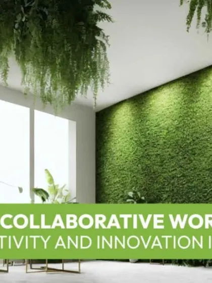 Biowalls are perfect for collaborative workspaces, fostering creativity and innovation. This image shows a stunning indoor biowall that serves as a natural, inspiring backdrop for an entire office.