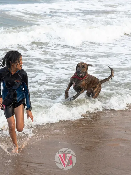 Kumbha and his human running through the waves. This action shot is full of joy and captures their playful bond.