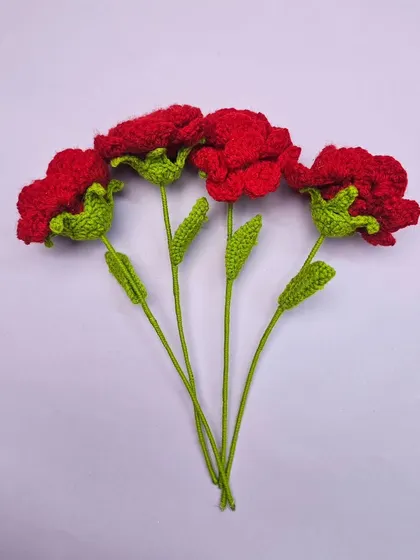 A duplicate of 42, showcasing the detailed red crochet carnations.