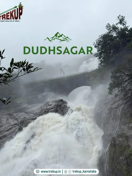 Witness the sheer power and beauty of Dudhsagar falls. I organize treks that take you right to this iconic spot, perfect for an unforgettable corporate or private group adventure.