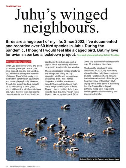 My story about Juhu's birdlife featured in Sanctuary Asia magazine. It was a dream come true to share my passion for urban wildlife and conservation on such a platform.