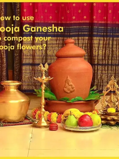 The Pooja Ganesha is a beautiful and sacred way to manage your pooja flowers, turning them into nutrition for the plants growing around it. It is a perfect addition to your pooja room.