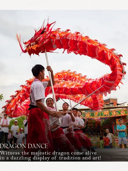 A majestic Dragon Dance performance, one of the cultural highlights at the World Food Carnival. We incorporate live art and tradition to enrich the festival experience.