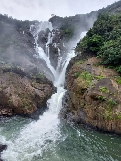 A view of the lower cascades of Dudhsagar Falls, where the water crashes into the river below. This is a popular spot for our groups to take photos.