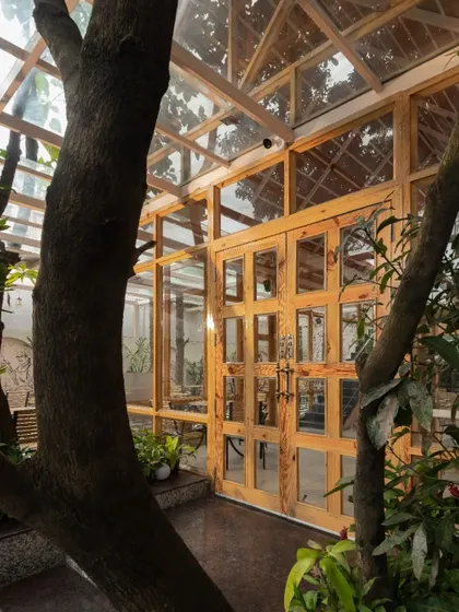 The exterior of the glass pavilion, seen through the branches of a large tree. This view shows the delicate balance between the built structure and the powerful presence of nature.
