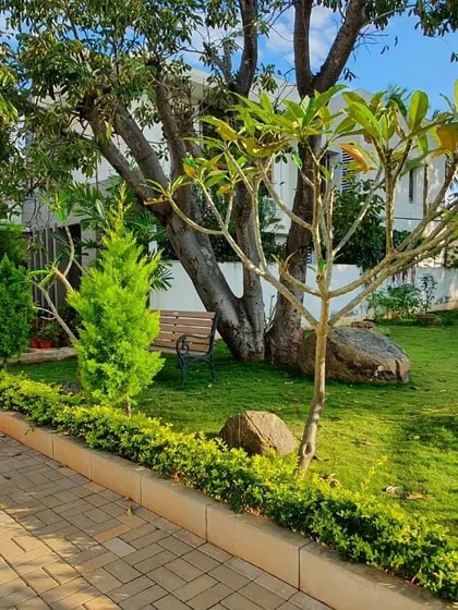 A tranquil corner of a garden I maintain, featuring a simple wooden bench nestled under mature trees. My service includes caring for established trees, maintaining hedges along pathways, and ensuring the lawn remains healthy and green.