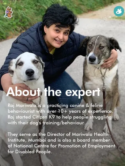 Meet Raj Mariwala, a practicing canine and feline behaviorist with over a decade of experience. As a director at the Mariwala Health Institute, they bring invaluable expertise to our classes on community animal welfare.