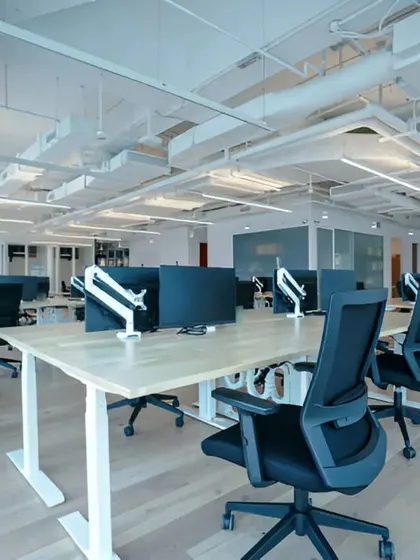 Another view of the open workspace, highlighting the clean, minimalist aesthetic with light wood desks, ergonomic chairs, and a large fiddle-leaf fig plant to add a touch of green.