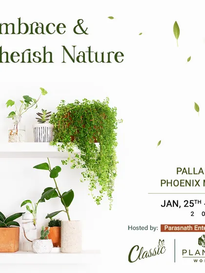 Cherish nature with beautiful indoor plants. Our exhibitors offer a wide selection of foliage for shelves and hanging displays to help you create your personal urban jungle.
