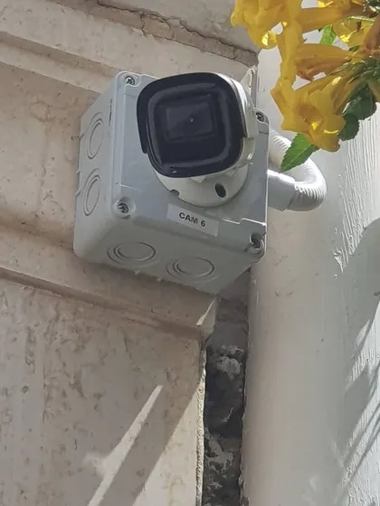 A Tiandy camera installed near some foliage. I always make sure the view is clear of obstructions.