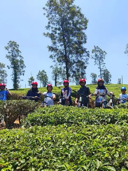 A group of young cyclists poses for a photo in the middle of a vast tea plantation in Coorg.