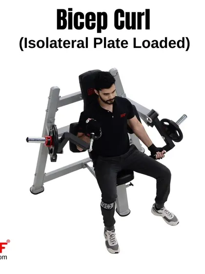 An angled view showing a user starting the bicep curl movement, with arms positioned for optimal isolation.