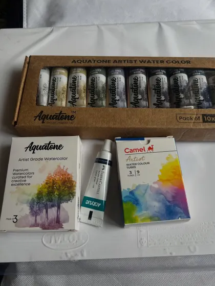 More art supplies, including Aquatone and Camel watercolor tubes. I'm always happy to buy new materials to experiment with.