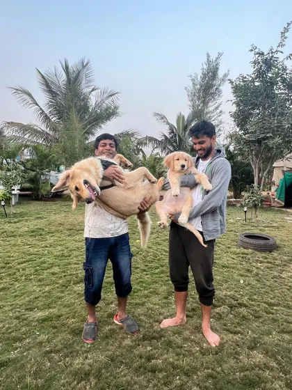 Another playful shot of our team enjoying time with the dogs in our care.