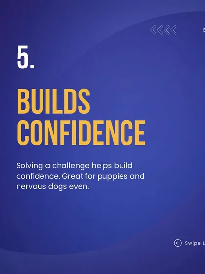 Did you know that dog puzzles offer numerous benefits? They provide mental stimulation, reduce boredom, help calm anxious dogs, slow down fast eaters, and build confidence. I incorporate puzzles into many of my training plans.