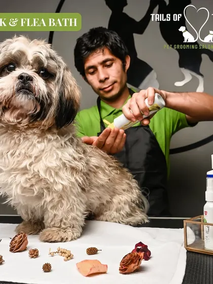 Our tick and flea bath is one of our most popular spa services. It provides immediate relief and long-term protection for your furry friend.